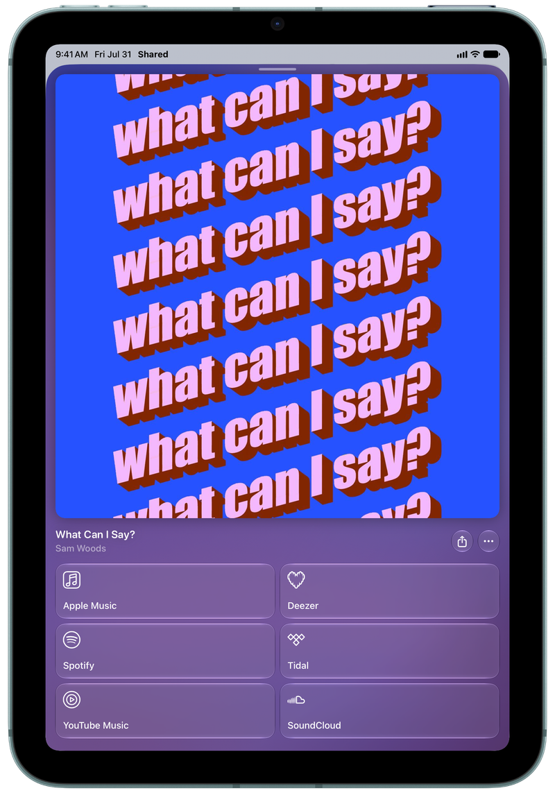 Shared on iPad mini showing Media View for What Can I Say?, light appearance.
