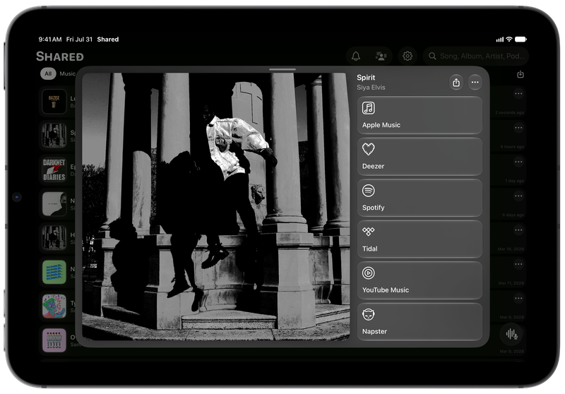 Shared on iPad mini showing Media View for Spirit, dark appearance.