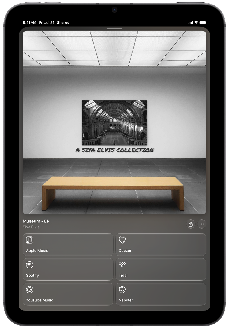Shared on iPad mini showing Media View for Museum - EP, dark appearance.