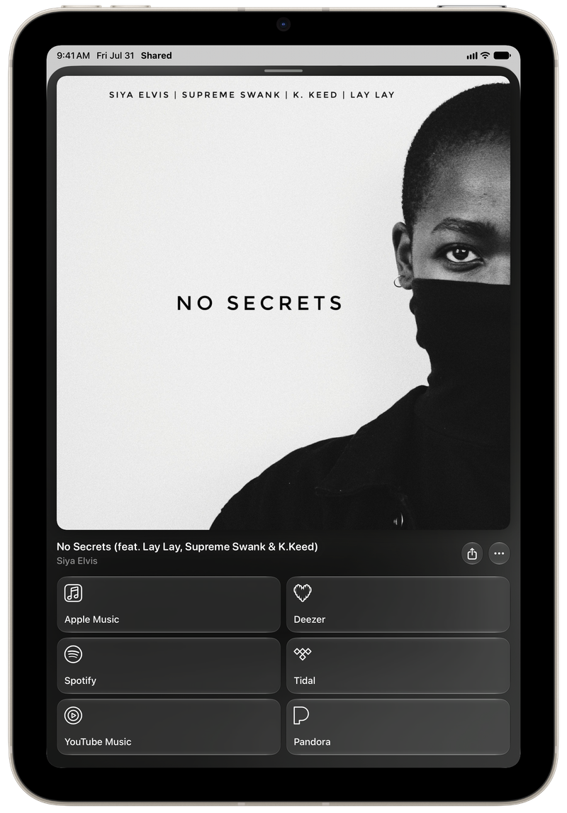 Shared on iPad mini showing Media View for No Secrets (feat. Lay Lay, Supreme Swank & K.Keed), light appearance.