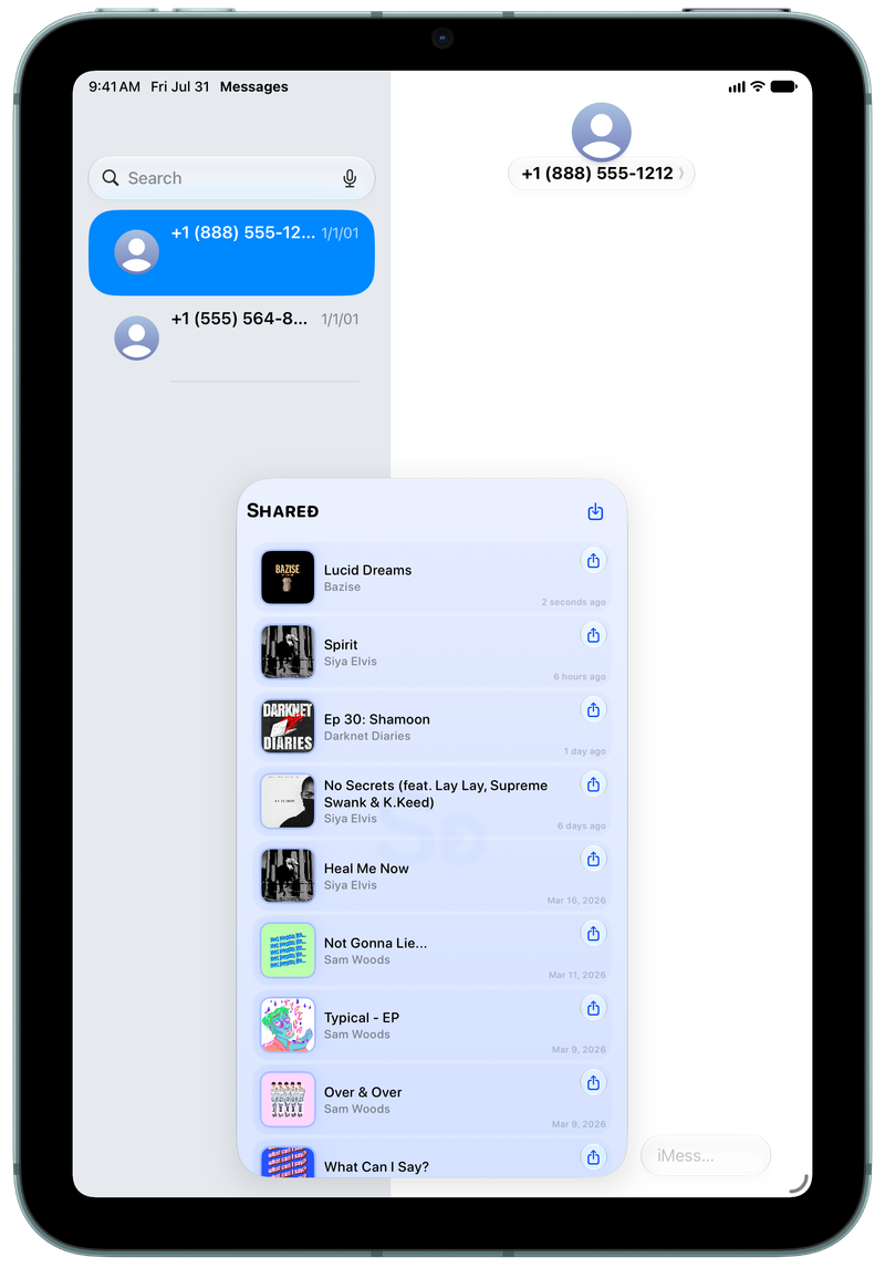 Shared on iPad mini showing Shared in Messages in the Blue tint, light appearance.
