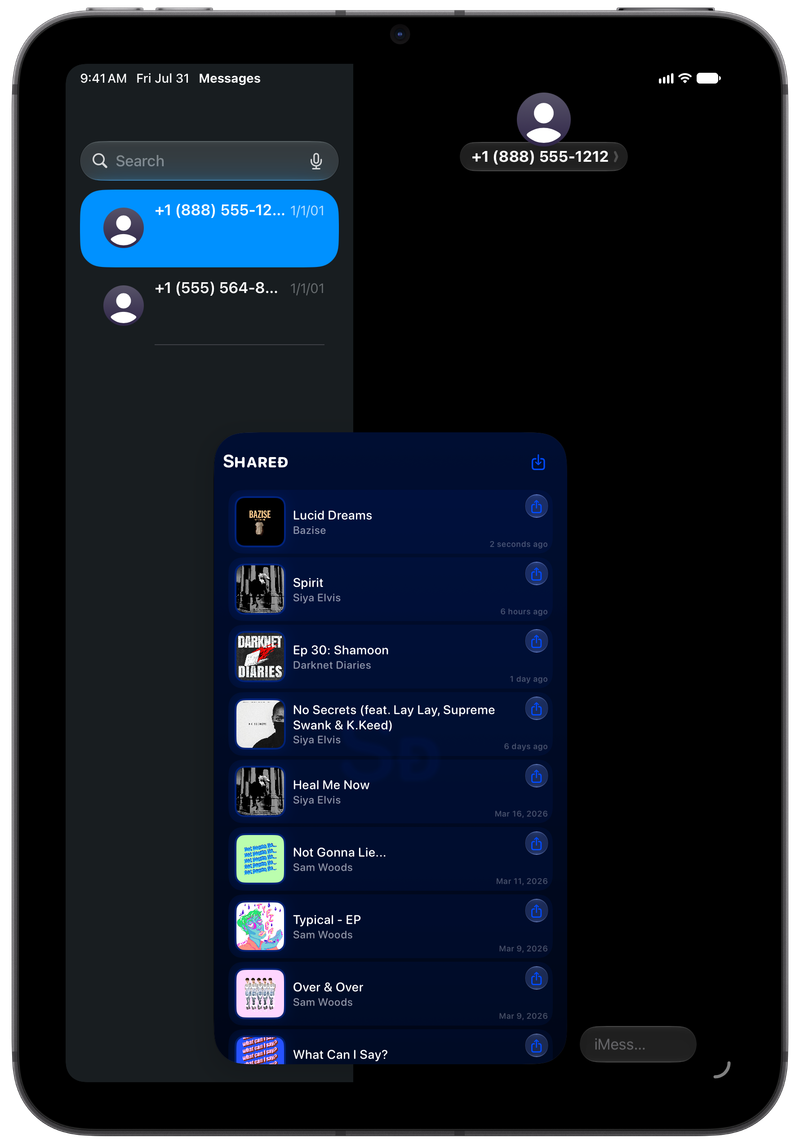 Shared on iPad mini showing Shared in Messages in the Blue tint, dark appearance.