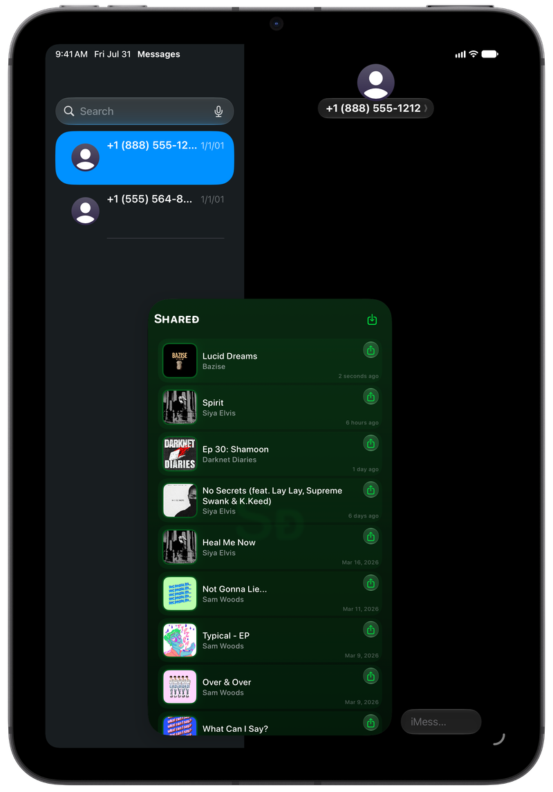 Shared on iPad mini showing Shared in Messages in the Green tint, dark appearance.