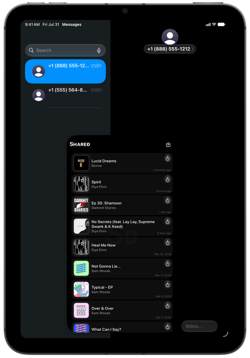 Shared on iPad mini showing Shared in Messages in the Grey tint, dark appearance.