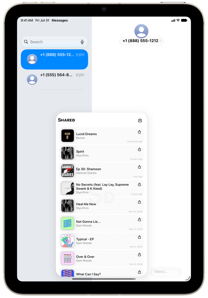 Shared on iPad mini showing Shared in Messages in the Grey tint, light appearance.