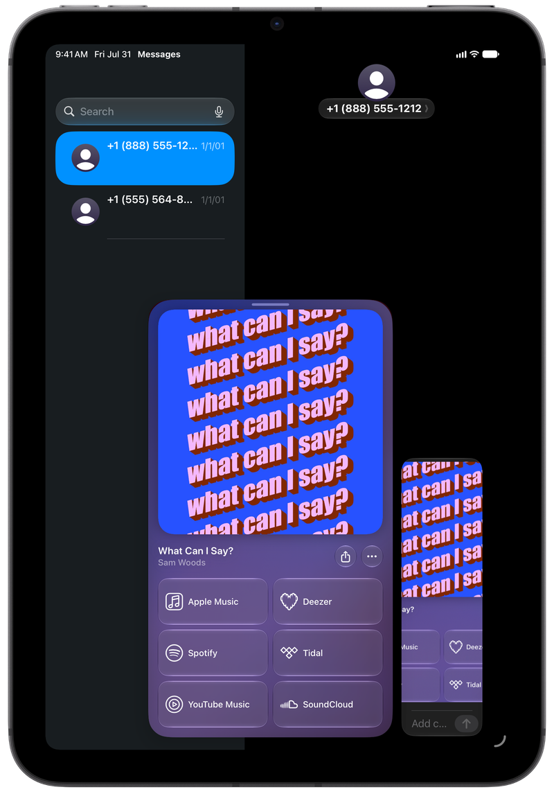Shared on iPad mini showing Share as Image in Messages for What Can I Say?, dark appearance.