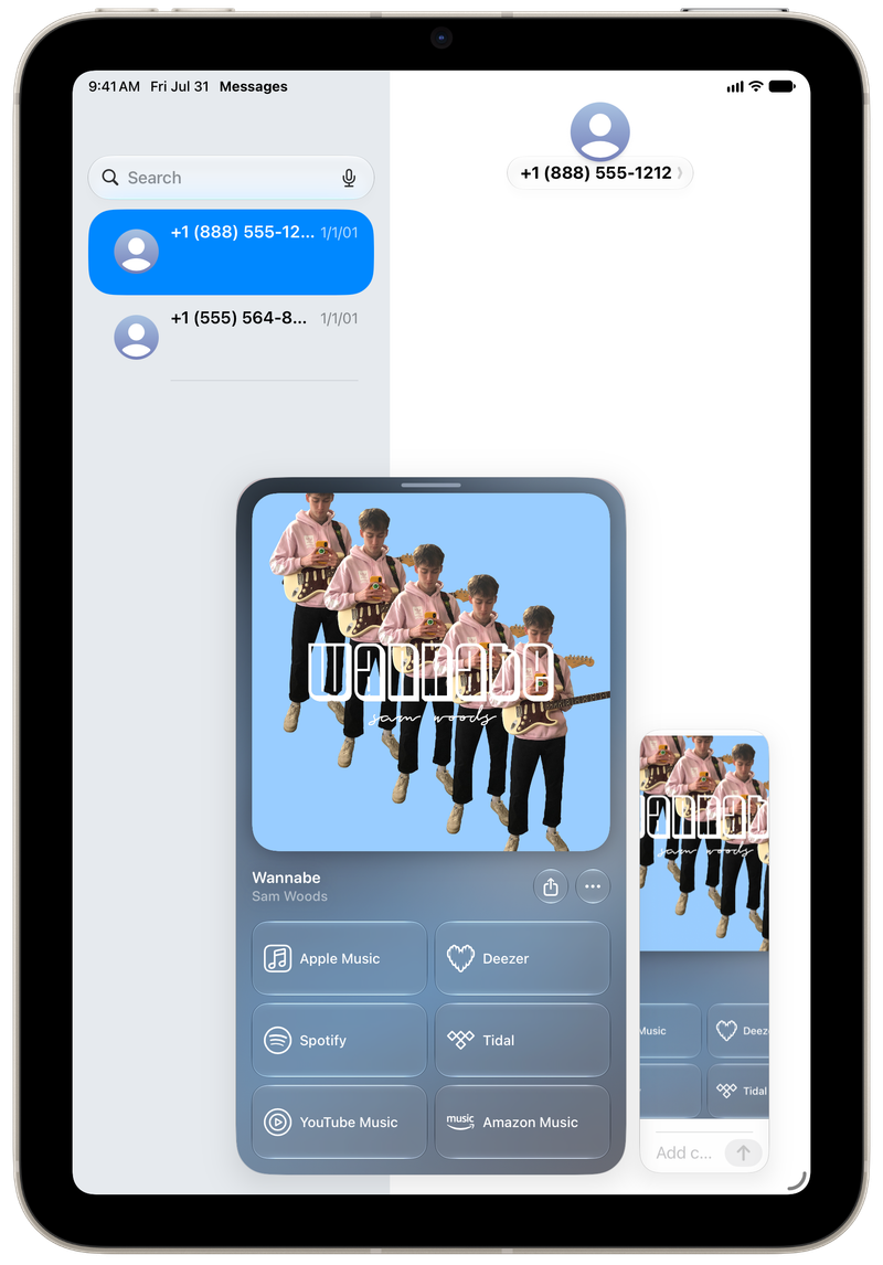 Shared on iPad mini showing Share as Image in Messages for Wannabe, light appearance.