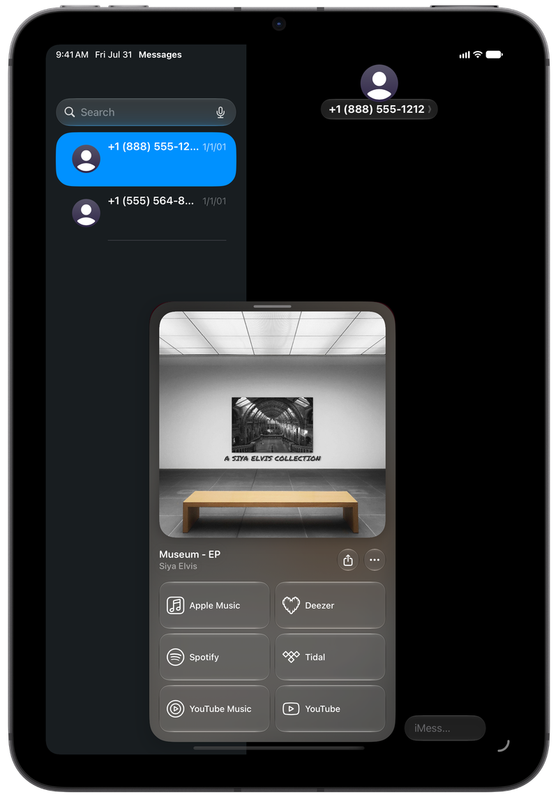 Shared on iPad mini showing Open in Shared from Messages for Museum - EP, dark appearance.