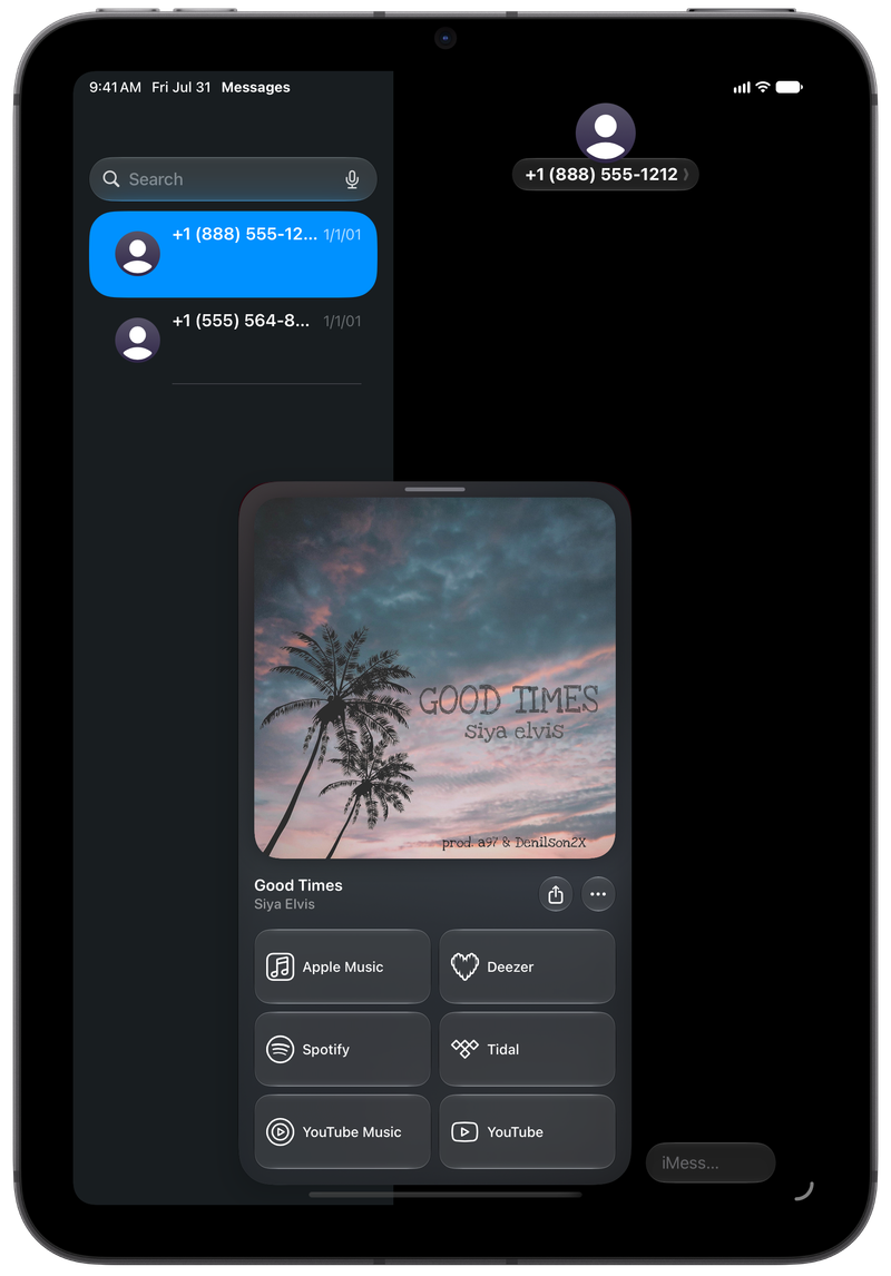 Shared on iPad mini showing Open in Shared from Messages for Good Times, dark appearance.