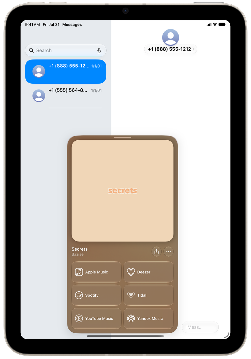 Shared on iPad mini showing Open in Shared from Messages for Secrets, light appearance.