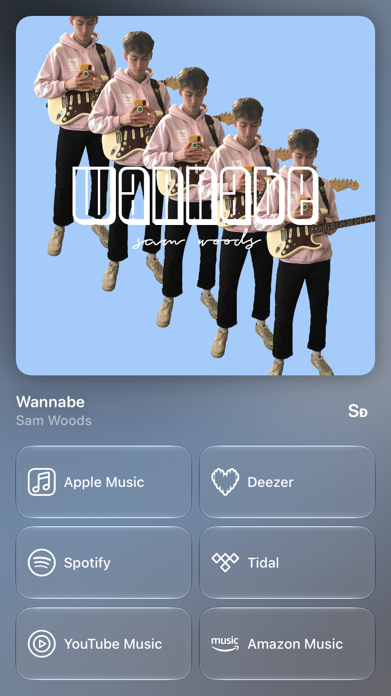Shared’s Share as Image picture of Wannabe, made in Messages on iPad mini, light appearance.