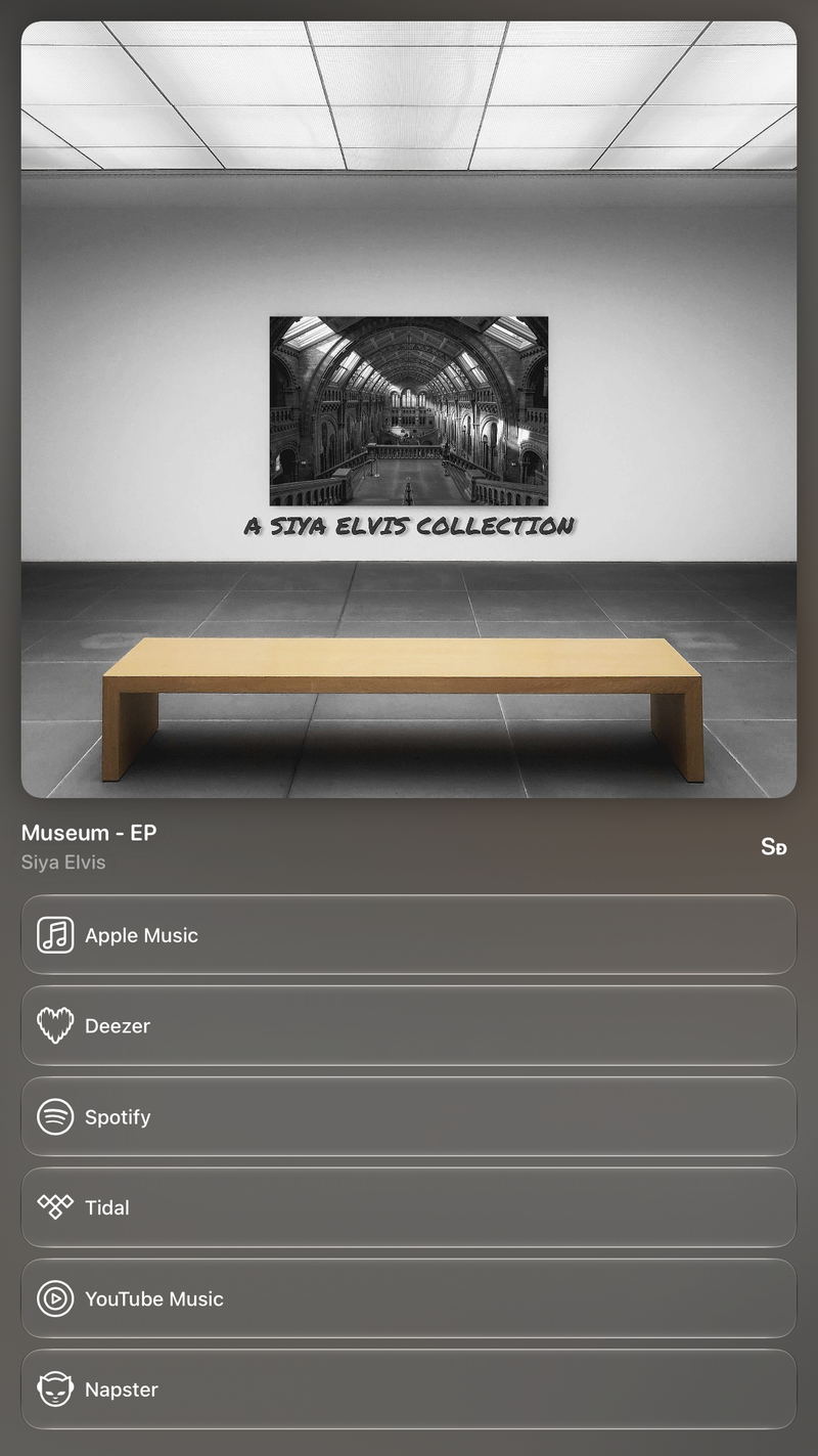 Shared’s Share as Image picture of Museum - EP, made in the app on iPad mini, dark appearance.