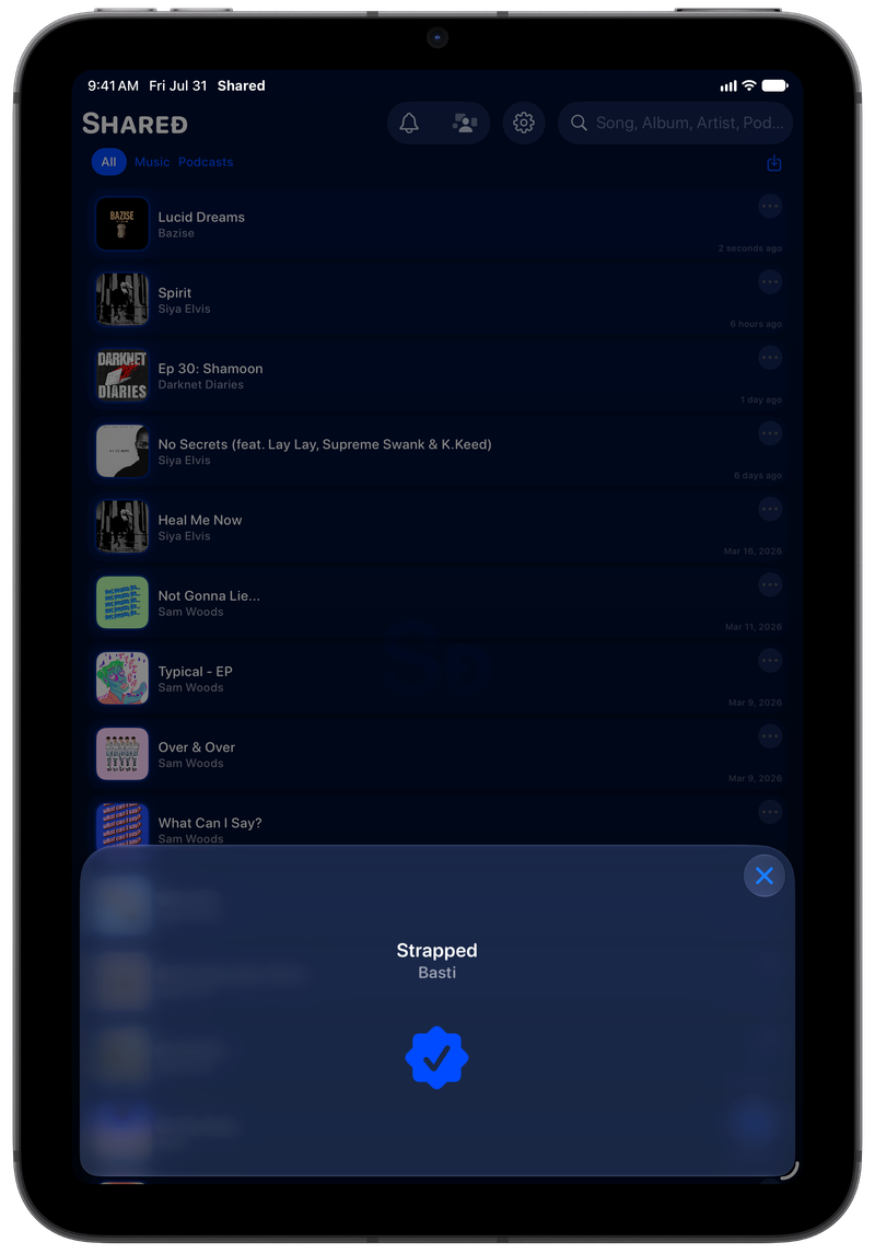 Shared on iPad mini showing Successful Match in the Blue tint, dark appearance.