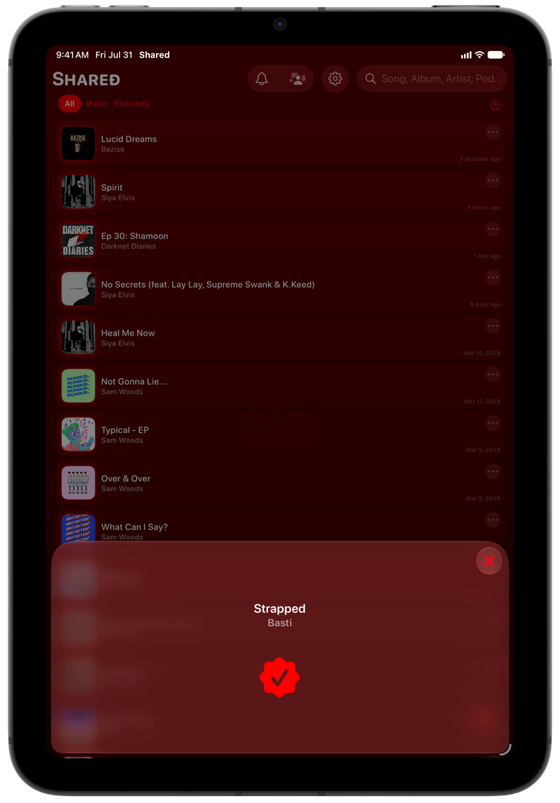 Shared on iPad mini showing Successful Match in the Red tint, dark appearance.