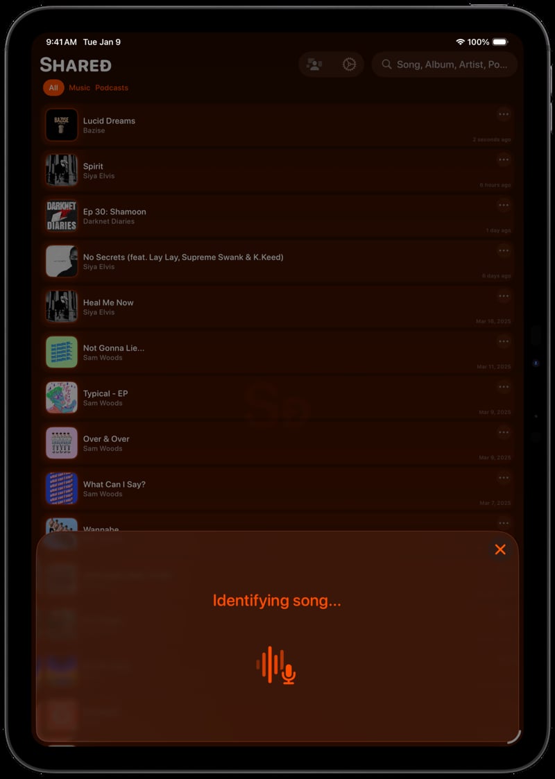 Shared iPad Pro 11 inch Space Grey Song ID Identifying Orange Dark press image.