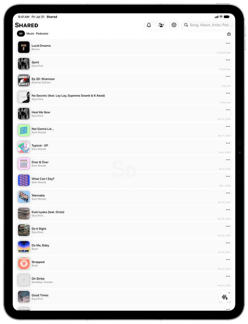 Shared on iPad Pro 13-inch showing History in the Grey tint, light appearance.