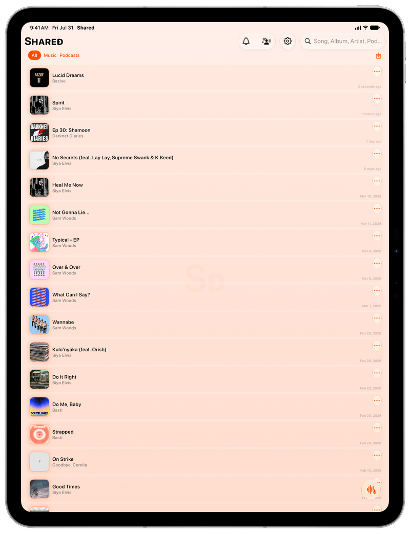 Shared on iPad Pro 13-inch showing History in the Orange tint, light appearance.