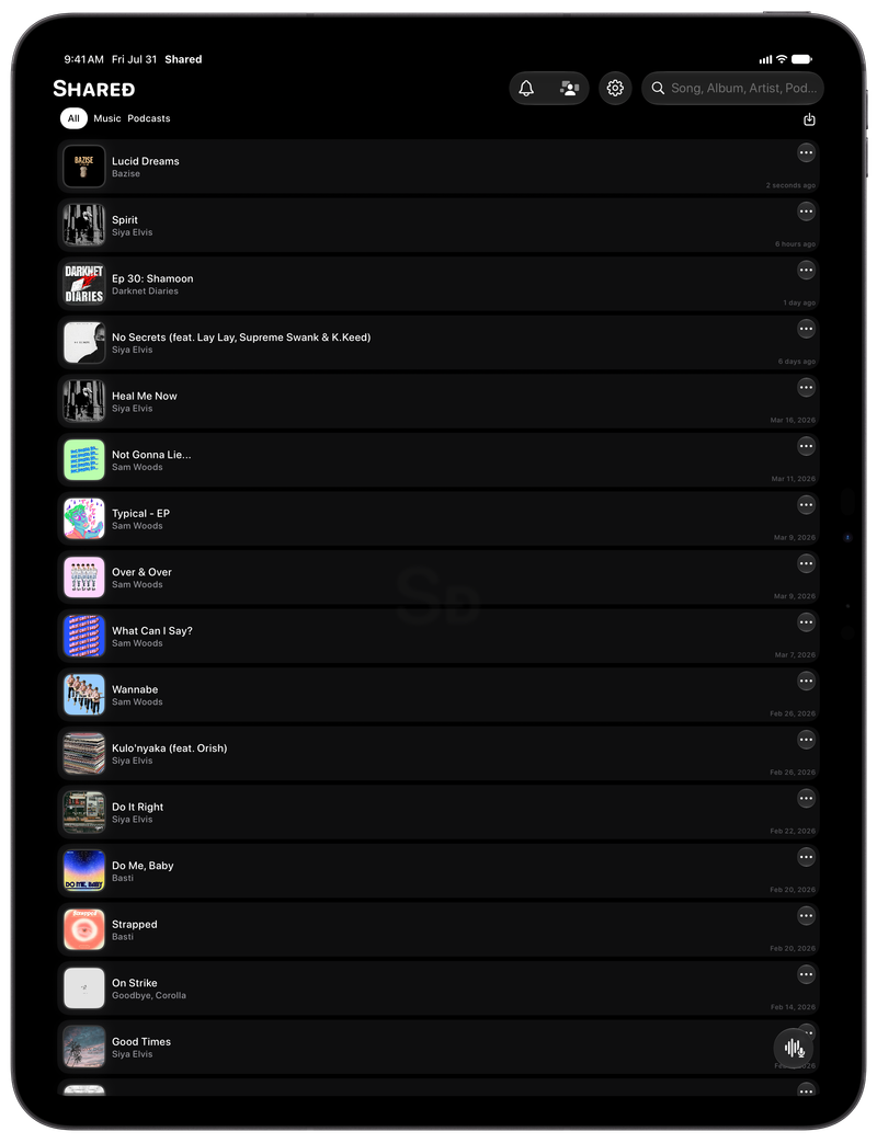 Shared on iPad Pro 13-inch showing History in the Grey tint, dark appearance.