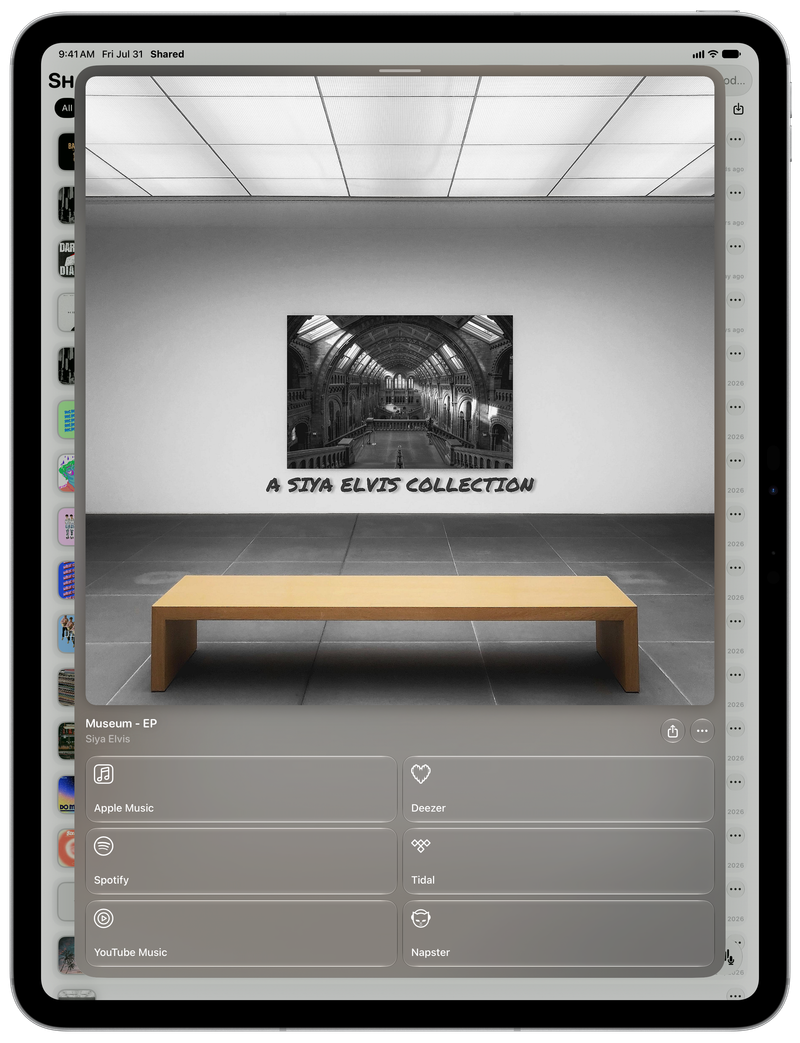 Shared on iPad Pro 13-inch showing Media View for Museum - EP, light appearance.