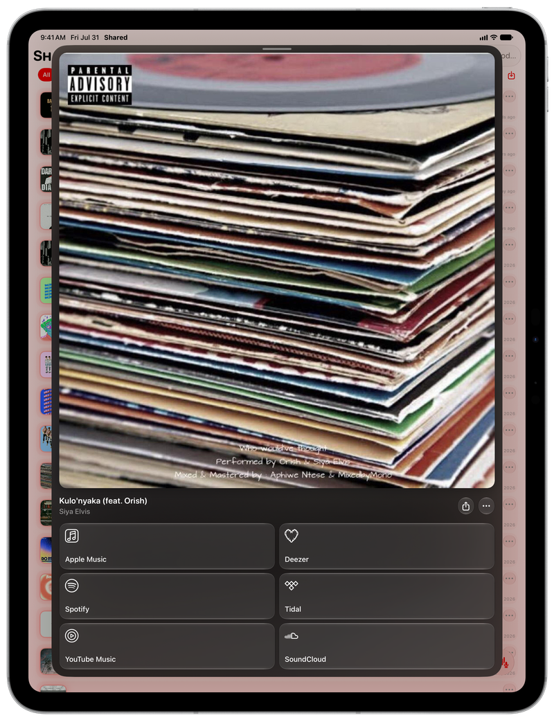 Shared on iPad Pro 13-inch showing Media View for Kulo'nyaka (feat. Orish), light appearance.