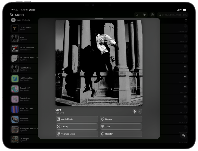 Shared on iPad Pro 13-inch showing Media View for Spirit, dark appearance.