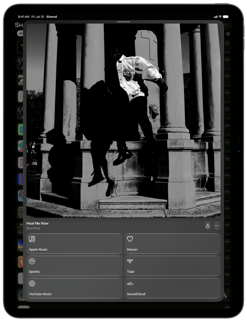 Shared on iPad Pro 13-inch showing Media View for Heal Me Now, dark appearance.