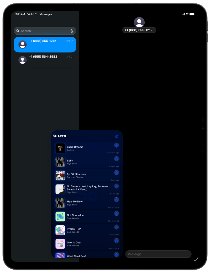 Shared on iPad Pro 13-inch showing Shared in Messages in the Blue tint, dark appearance.