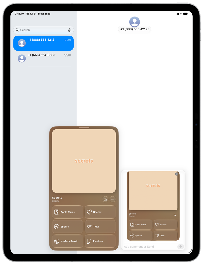 Shared on iPad Pro 13-inch showing Share as Image in Messages for Secrets, light appearance.