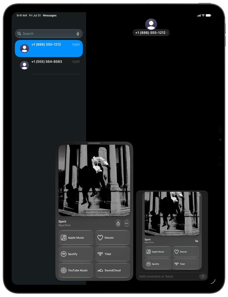 Shared on iPad Pro 13-inch showing Share as Image in Messages for Spirit, dark appearance.