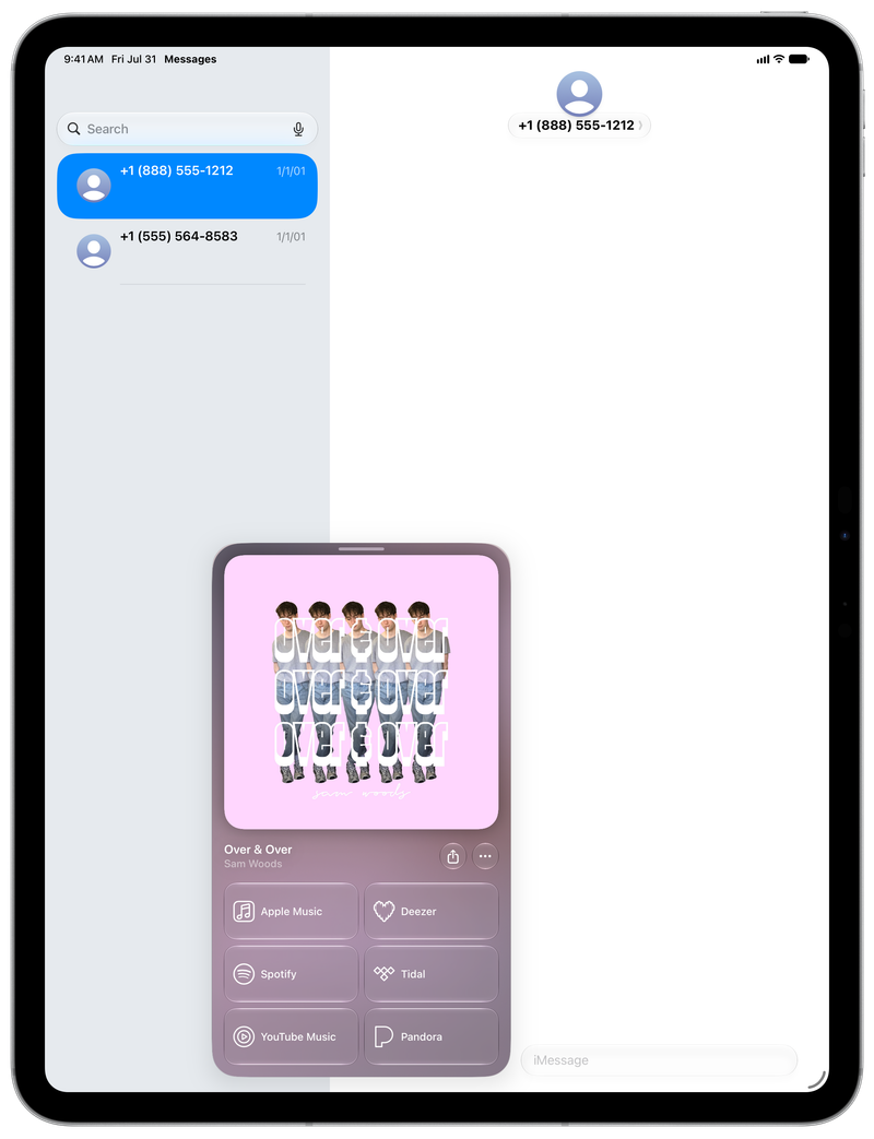 Shared on iPad Pro 13-inch showing Open in Shared from Messages for Over & Over, light appearance.