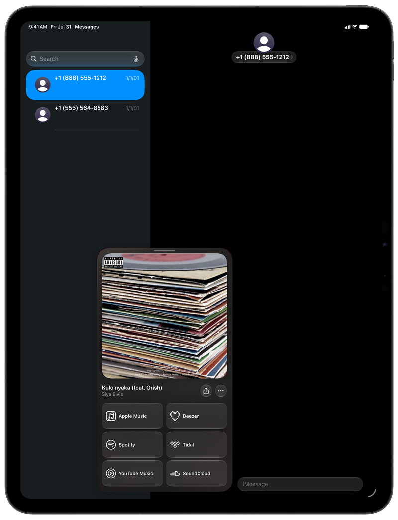 Shared on iPad Pro 13-inch showing Open in Shared from Messages for Kulo'nyaka (feat. Orish), dark appearance.