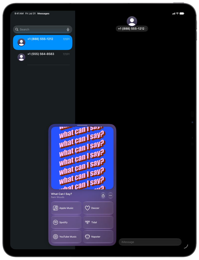 Shared on iPad Pro 13-inch showing Open in Shared from Messages for What Can I Say?, dark appearance.