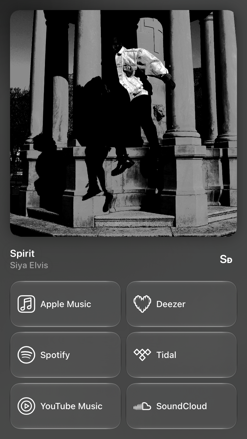 Shared’s Share as Image picture of Spirit, made in Messages on iPad Pro 13-inch, dark appearance.