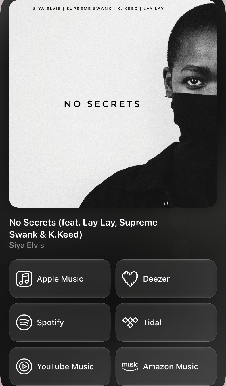 Shared’s Share as Image picture of No Secrets (feat. Lay Lay, Supreme Swank & K.Keed), made in Messages on iPad Pro 13-inch, light appearance.