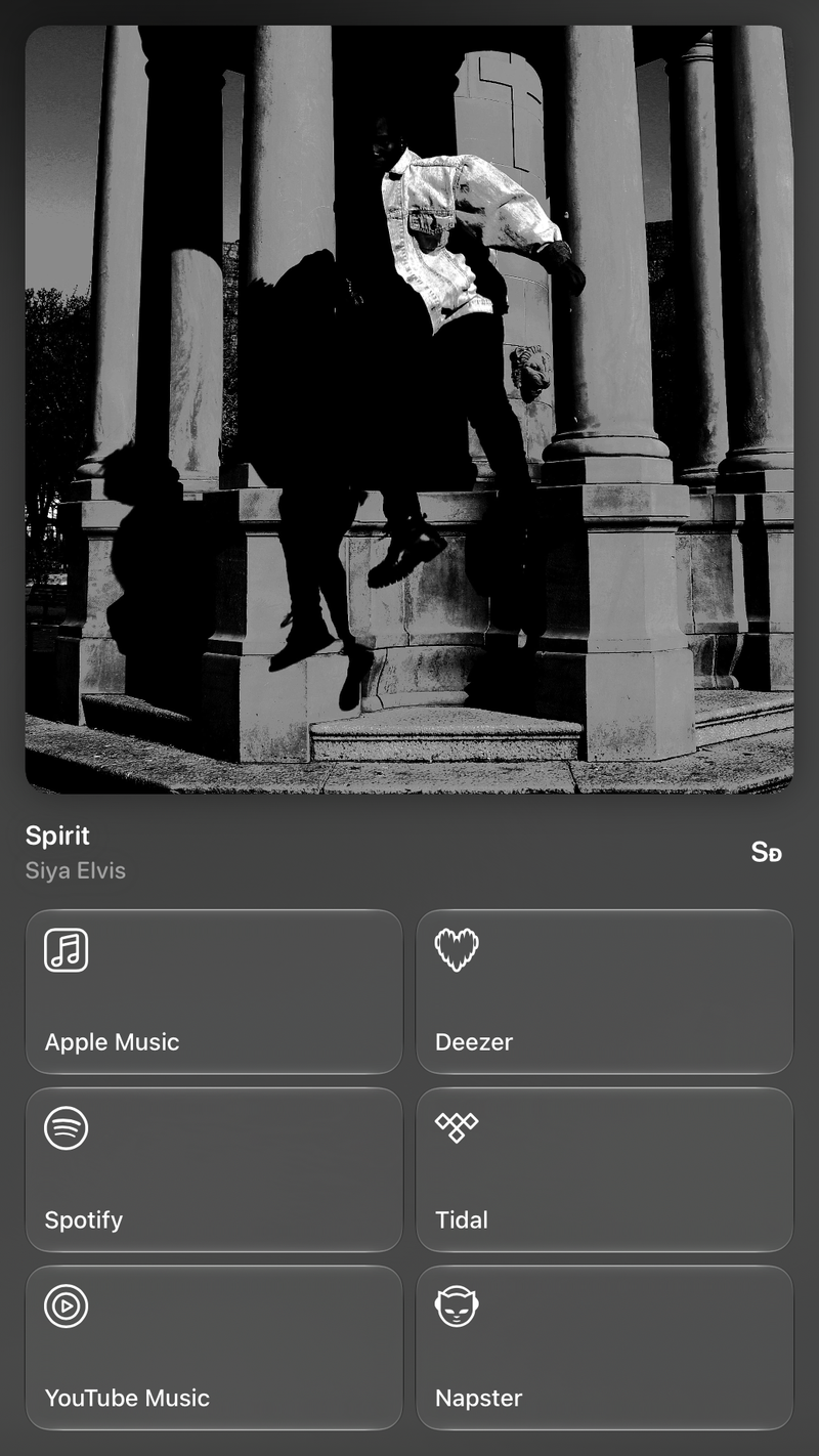 Shared’s Share as Image picture of Spirit, made in the app on iPad Pro 13-inch, dark appearance.