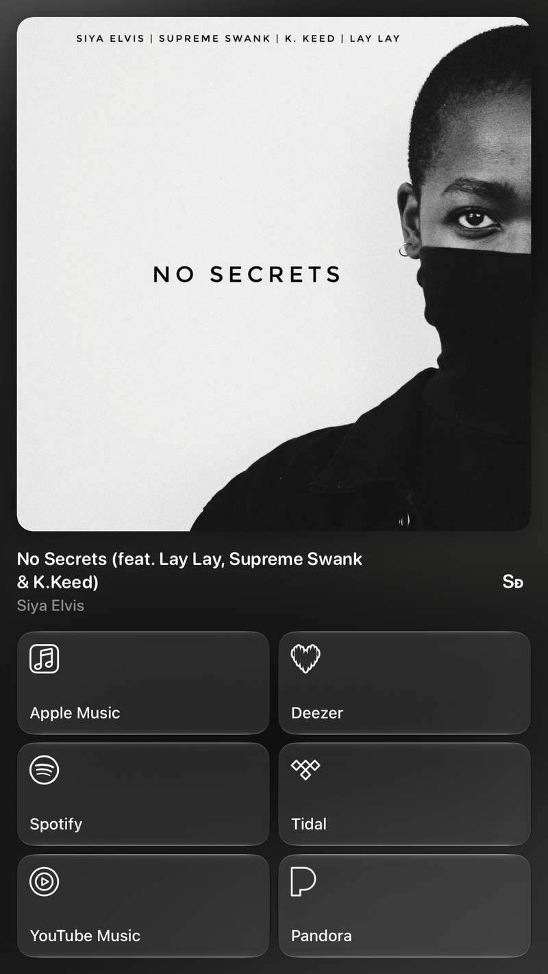 Shared’s Share as Image picture of No Secrets (feat. Lay Lay, Supreme Swank & K.Keed), made in the app on iPad Pro 13-inch, light appearance.