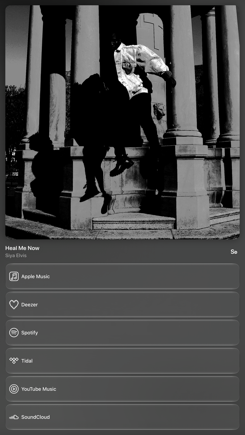 Shared’s Share as Image picture of Heal Me Now, made in the app on iPad Pro 13-inch, dark appearance.