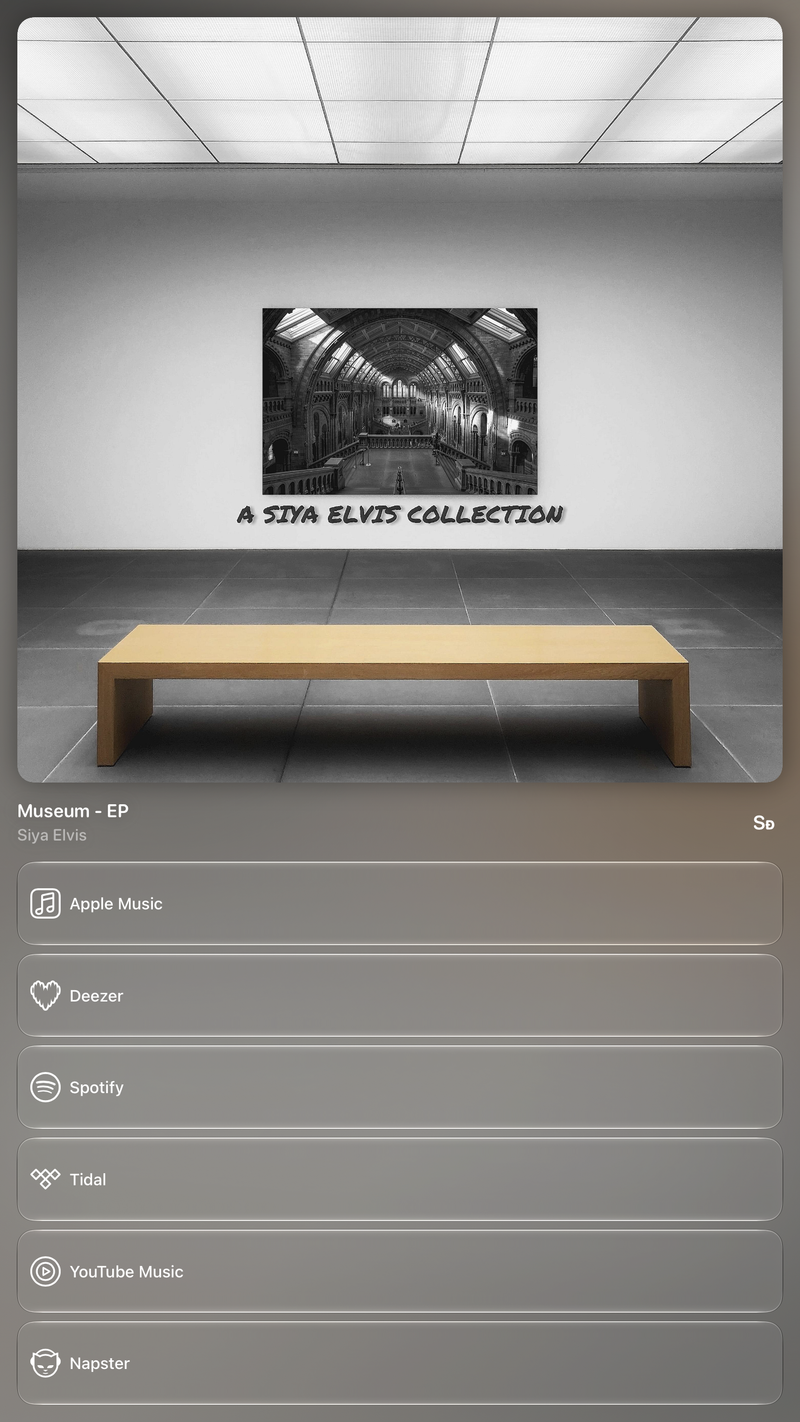 Shared’s Share as Image picture of Museum - EP, made in the app on iPad Pro 13-inch, light appearance.