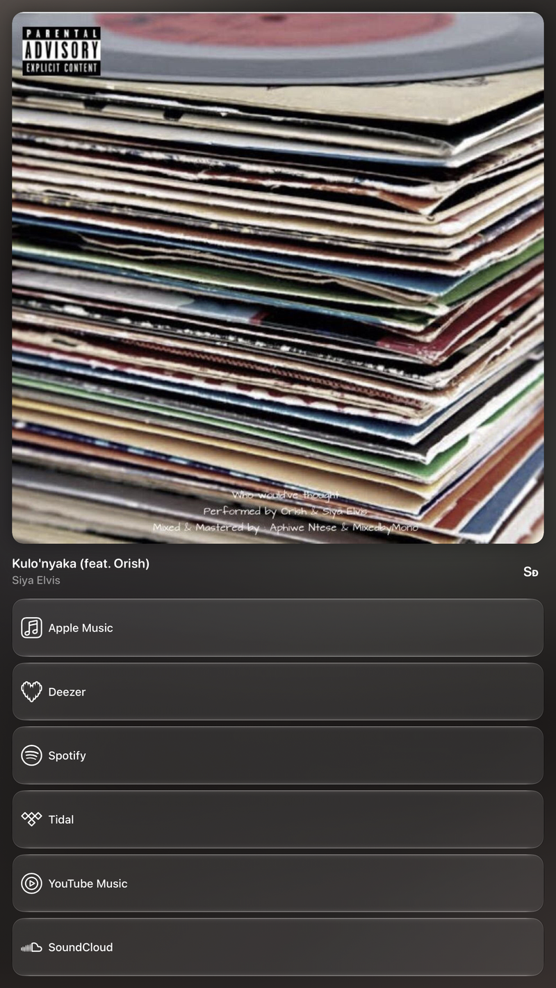 Shared’s Share as Image picture of Kulo'nyaka (feat. Orish), made in the app on iPad Pro 13-inch, light appearance.