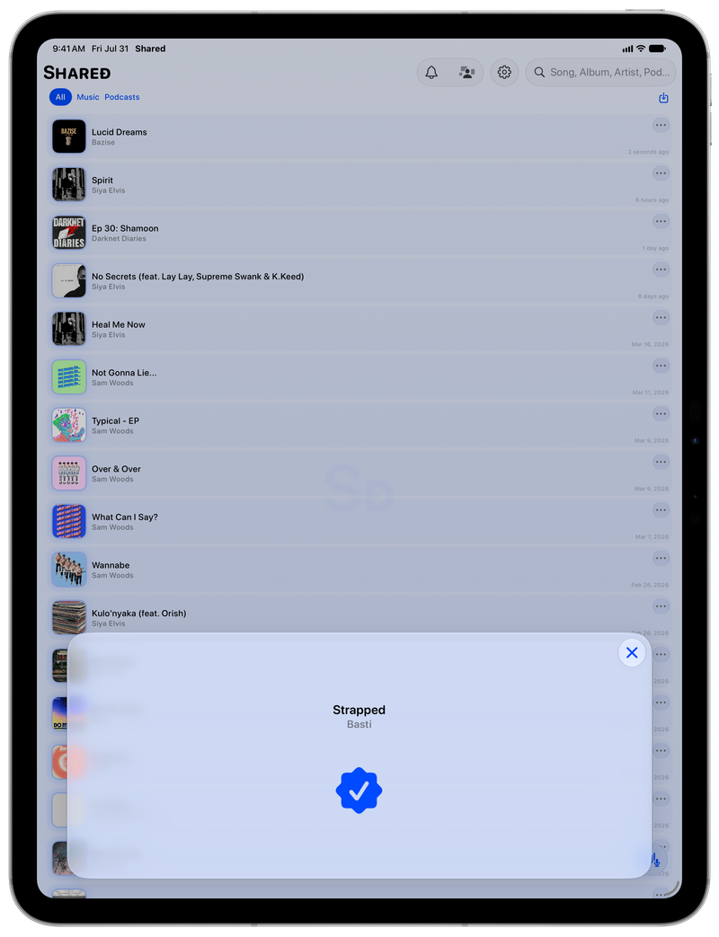 Shared on iPad Pro 13-inch showing Successful Match in the Blue tint, light appearance.