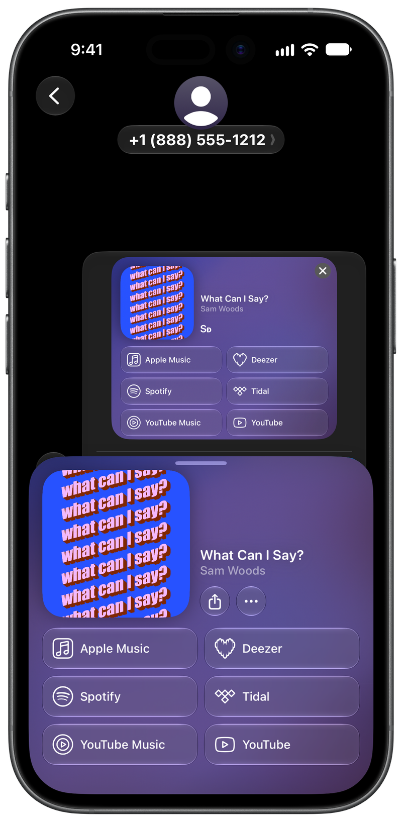 Shared on iPhone 17 showing Share as Image in Messages for What Can I Say?, dark appearance.