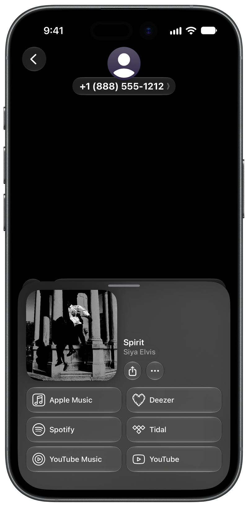 Shared on iPhone 17 showing Open in Shared from Messages for Spirit, dark appearance.