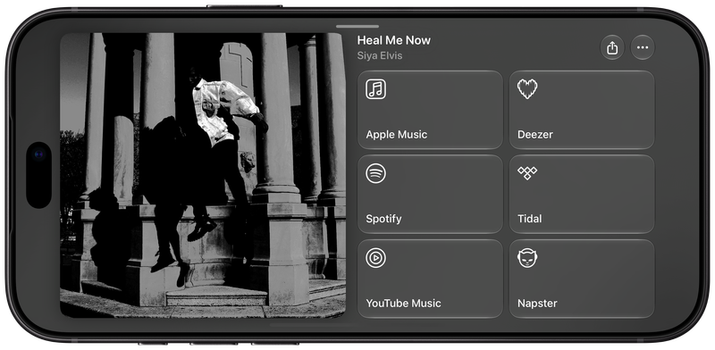 Shared on iPhone 18 Pro Max showing Media View for Heal Me Now, dark appearance.