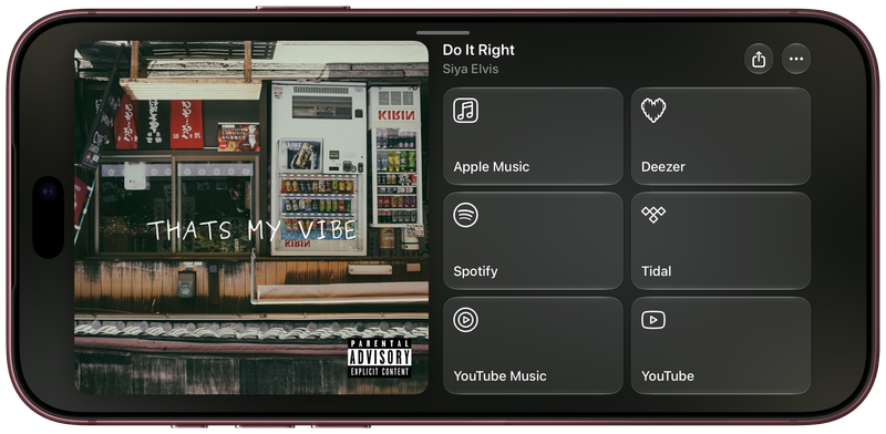 Shared on iPhone 18 Pro Max showing Media View for Do It Right, light appearance.