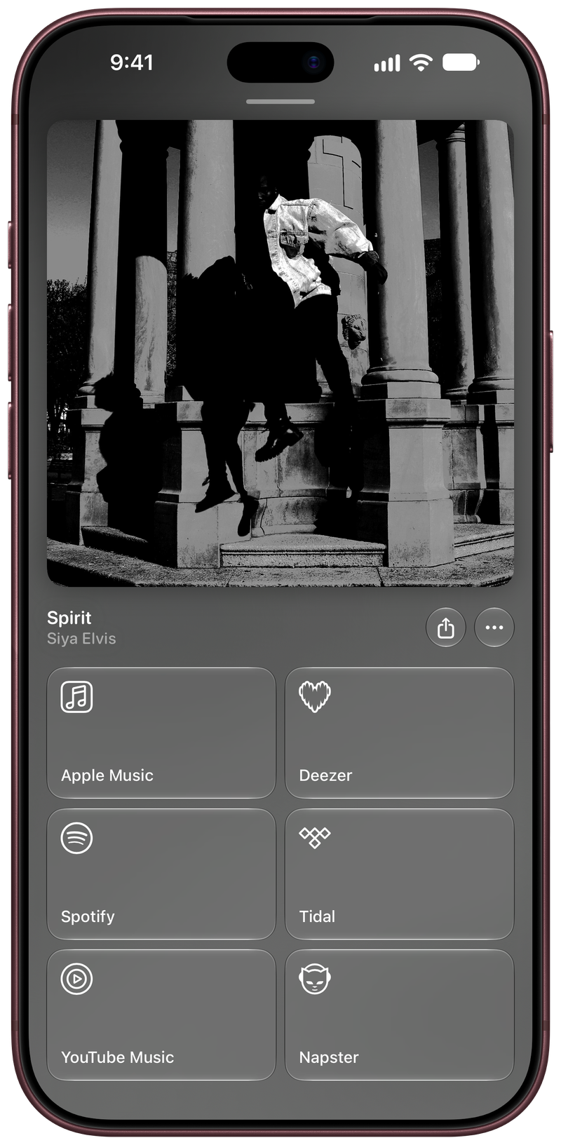 Shared on iPhone 18 Pro Max showing Media View for Spirit, light appearance.