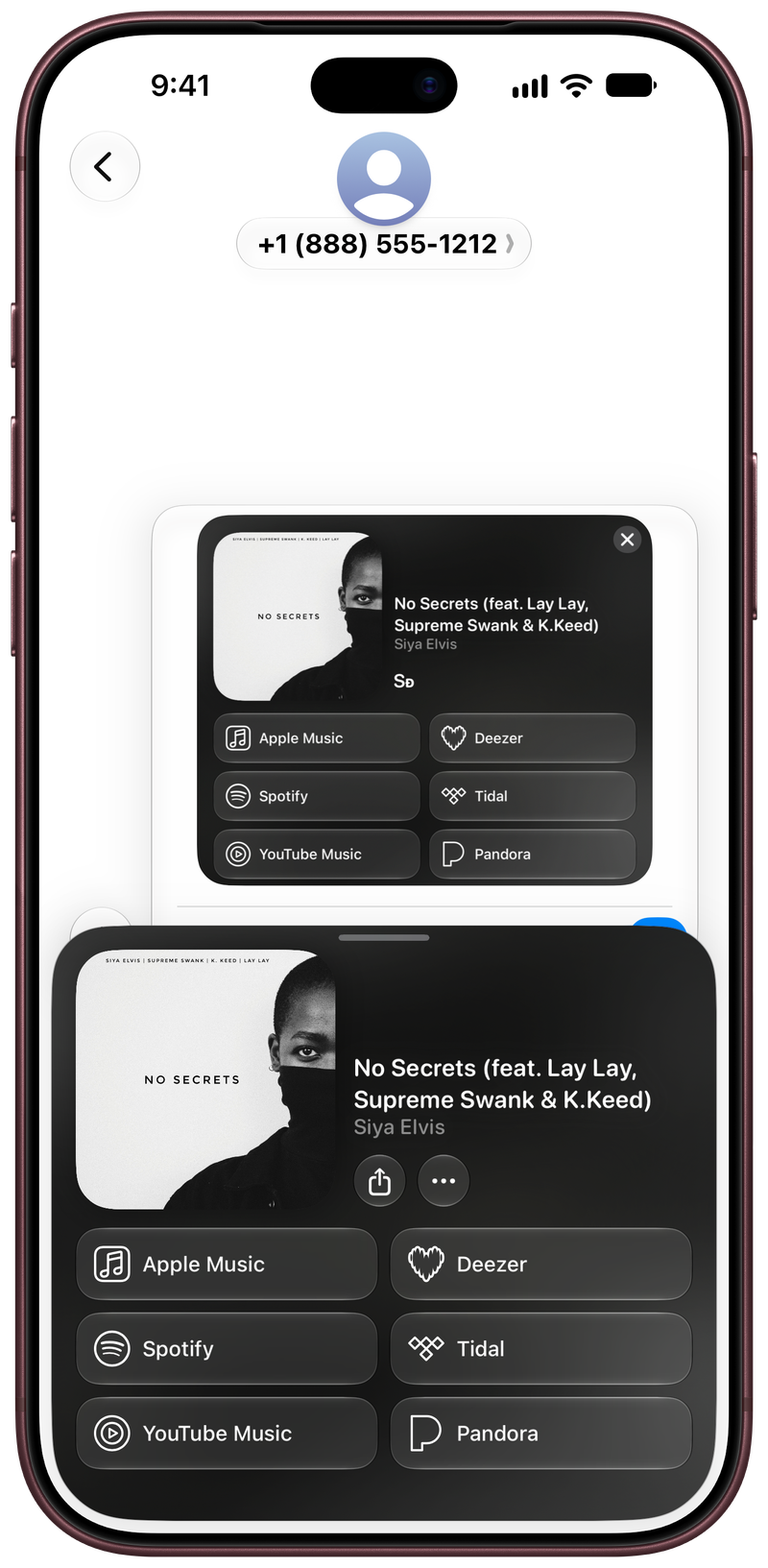 Shared on iPhone 18 Pro Max showing Share as Image in Messages for No Secrets (feat. Lay Lay, Supreme Swank & K.Keed), light appearance.