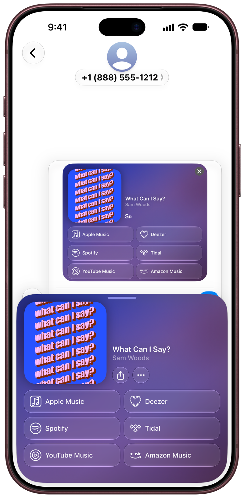 Shared on iPhone 18 Pro Max showing Share as Image in Messages for What Can I Say?, light appearance.