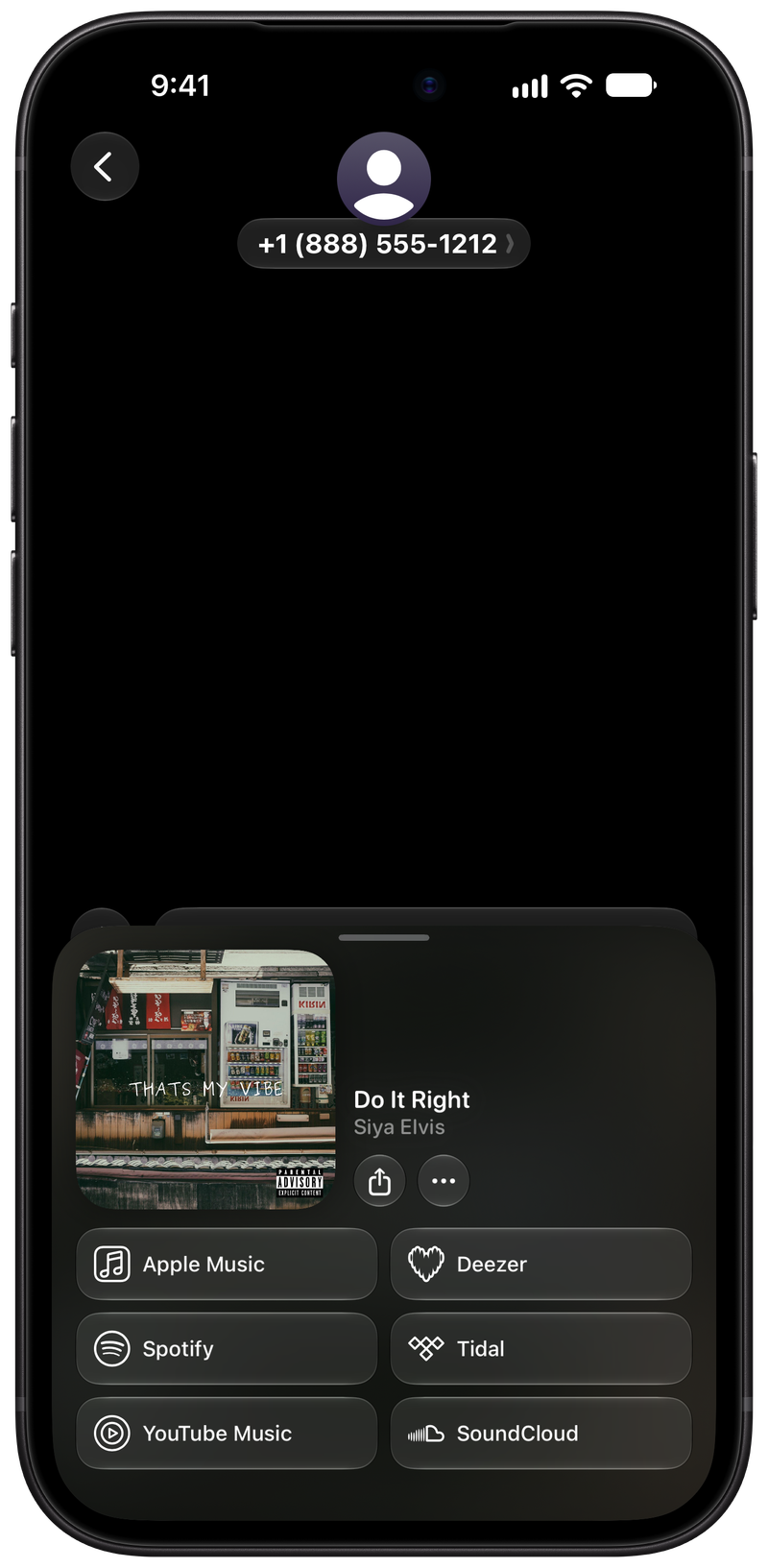 Shared on iPhone 18 Pro Max showing Open in Shared from Messages for Do It Right, dark appearance.