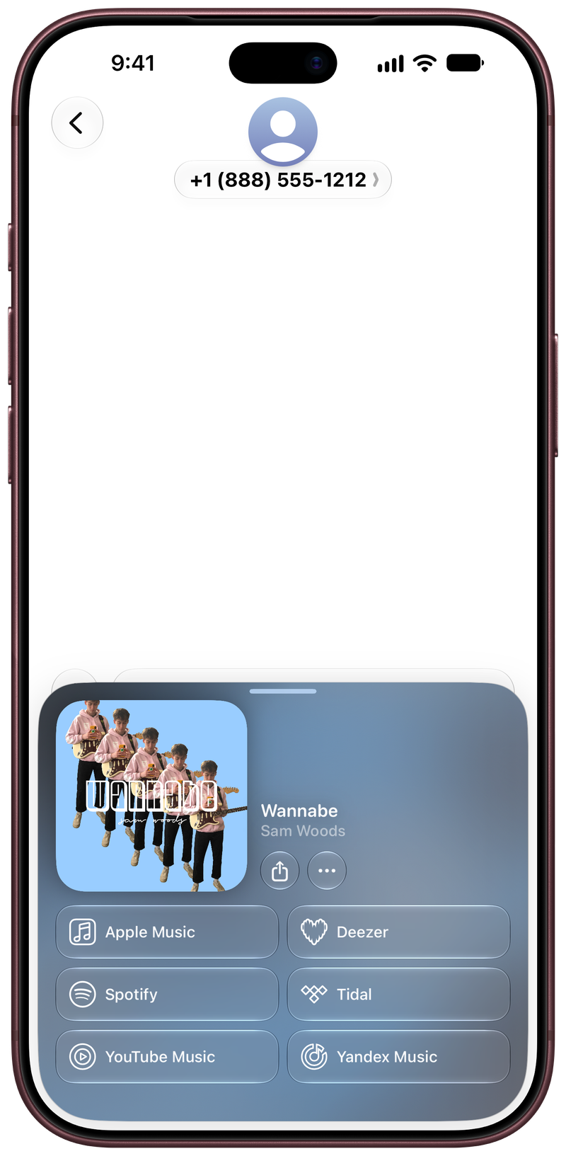 Shared on iPhone 18 Pro Max showing Open in Shared from Messages for Wannabe, light appearance.