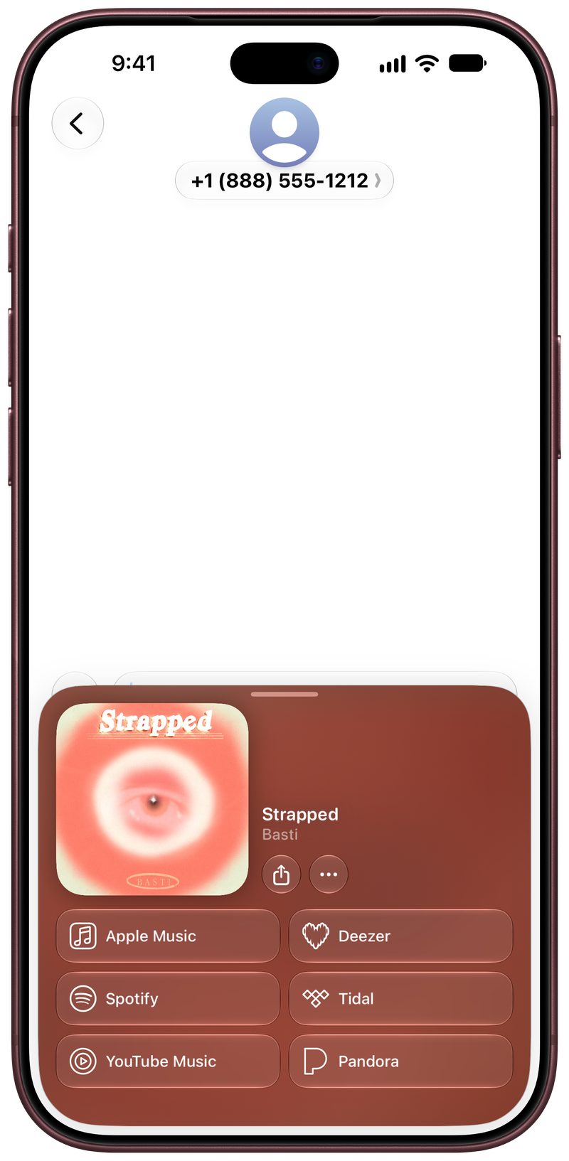 Shared on iPhone 18 Pro Max showing Open in Shared from Messages for Strapped, light appearance.